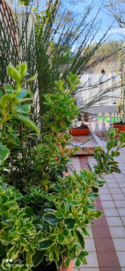 Willa Residenza Porta Brescia Peschiera del Garda Zewnętrze zdjęcie